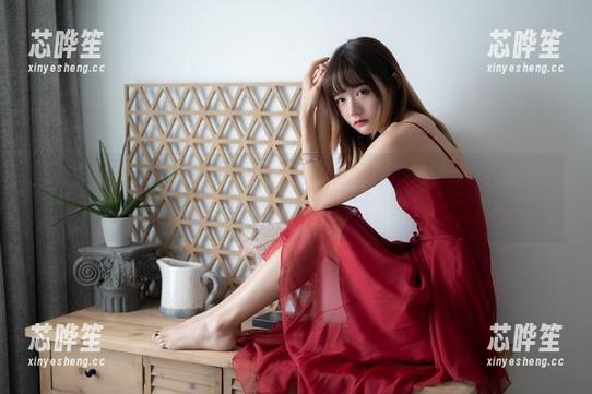 蓝调向日葵少女精选：当阳光遇上兔子Zzz不吃胡萝卜，究竟会撞出什么火花？