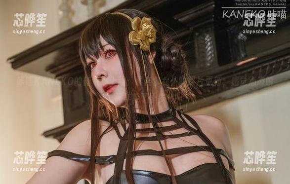 咔喵KANEKO的新数据上线：埃吉尔女仆的照片更新，感觉心态瞬间年轻了十岁！