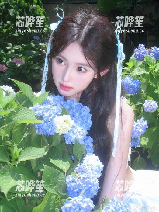 怡子yiii 怡子yiii樱花限定:再不来看就要变成花妖了,作品集更新!
