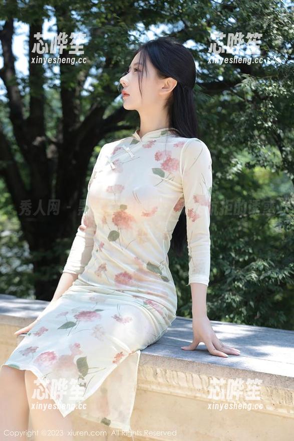 秀人网 - 黑丝女神娜露：无法抗拒的诱惑作品集