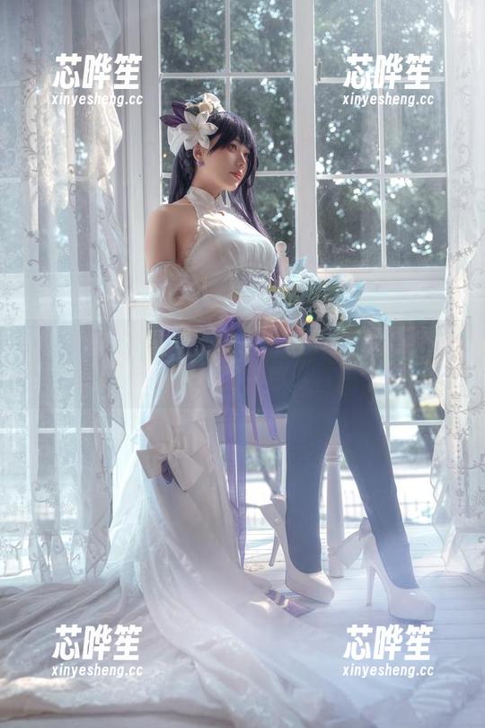 阿九从不咕咕 高清壁纸:跟着阿九从不咕咕走进修女与狗的故事